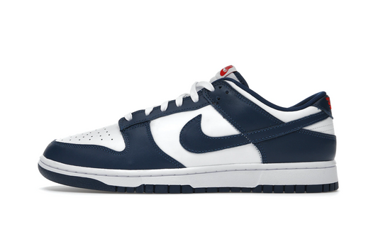 Nike Dunk Low Valerian Blue