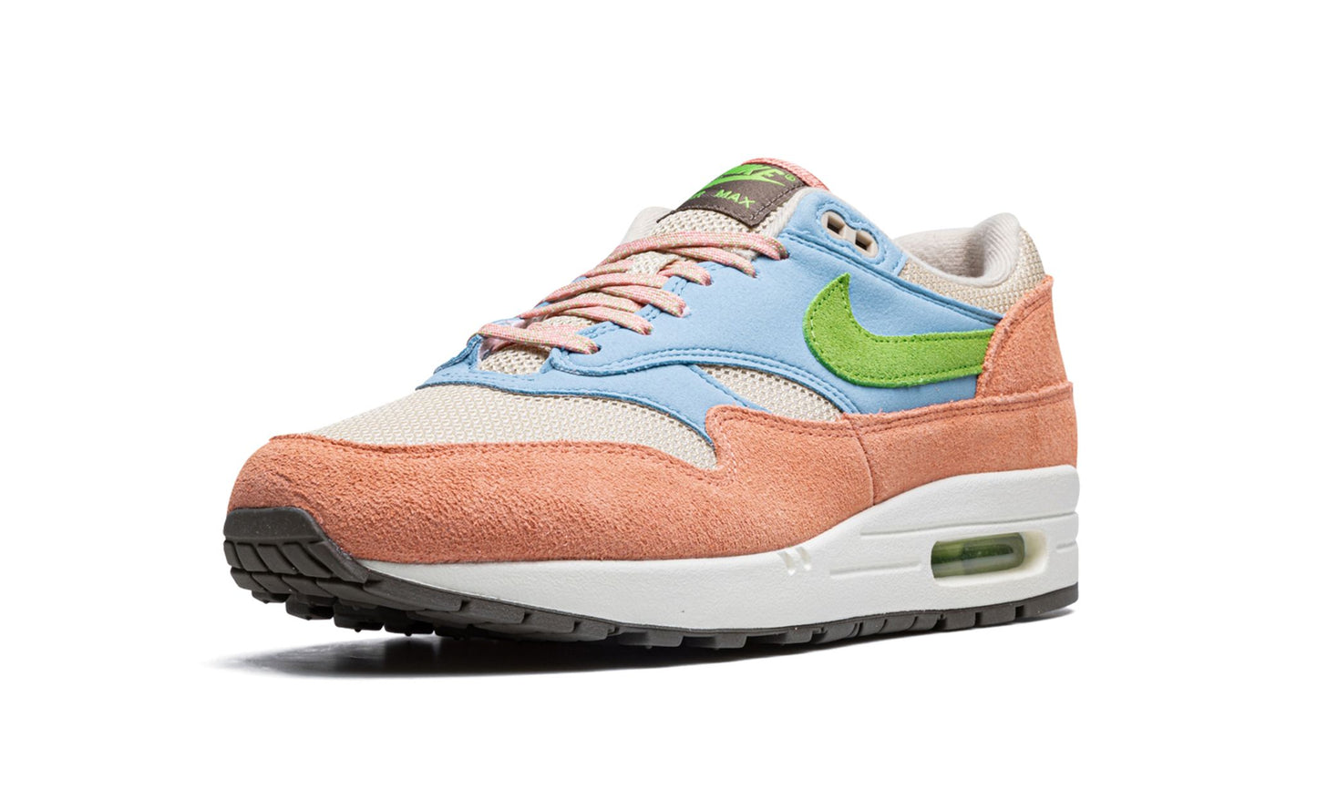 Nike Air Max 1 "Light Madder Root"