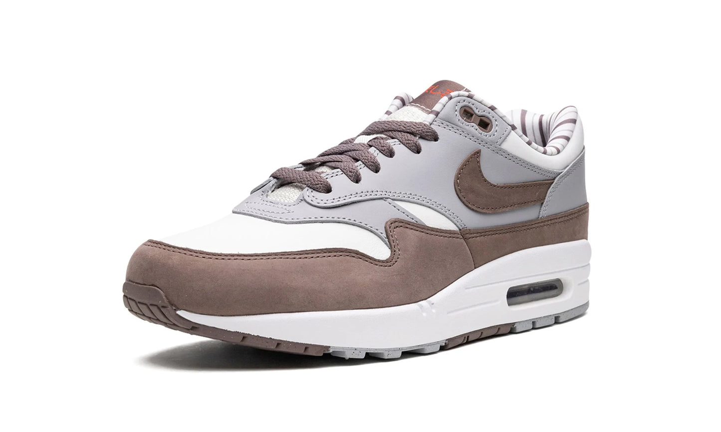 Nike Air Max 1 "Shima Shima"