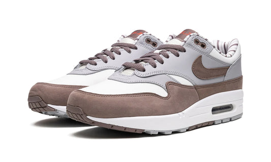 Nike Air Max 1 "Shima Shima"