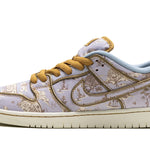 Nike Dunk Low SB "City Of Style"