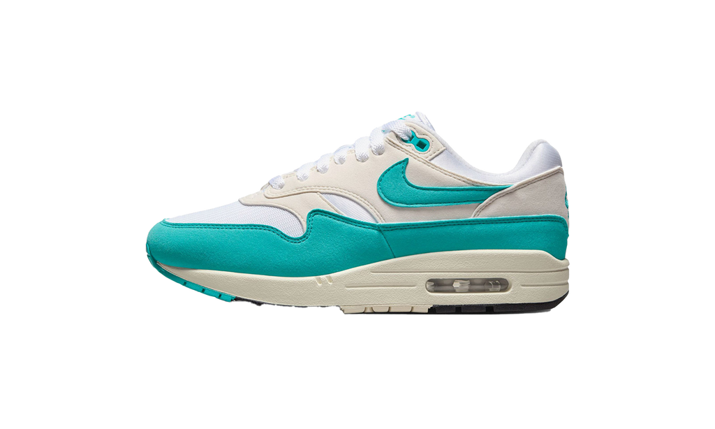 Nike Air Max 1 "Dusty Cactus" (W)
